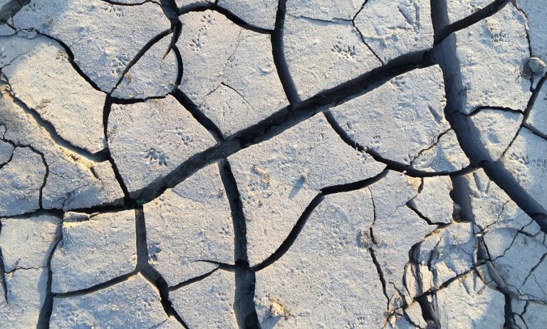 Types Of Concrete Cracks And What They Mean - TRP READY MIX