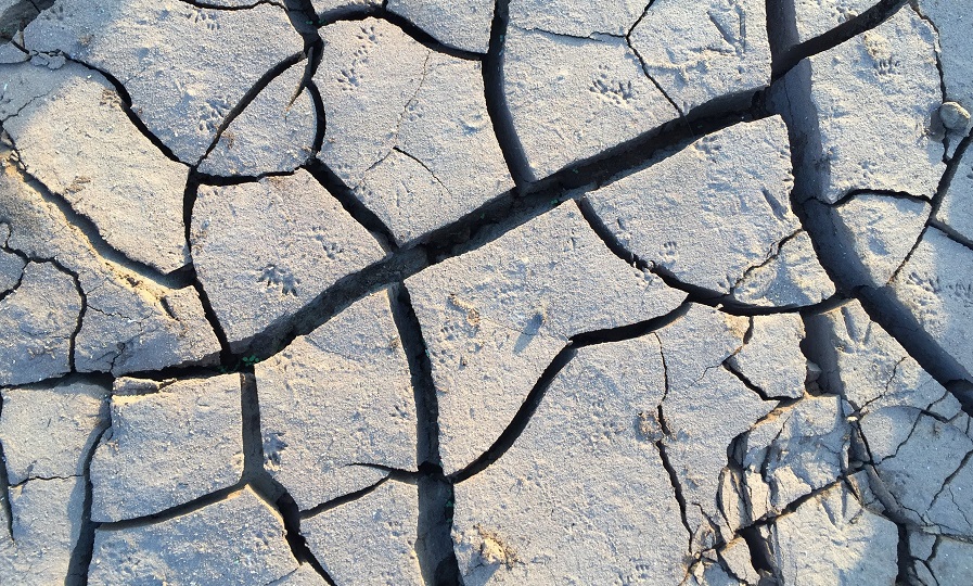 Types Of Concrete Cracks And What They Mean TRP READY MIX